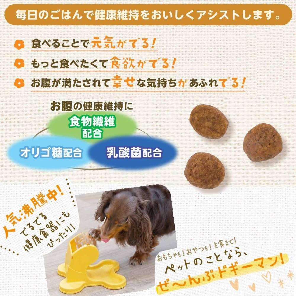 ドギーマンハヤシ　まいにちでるでるごはん　 お腹の健康ケア 食物繊維プラス２００ｇ お腹の健康ケア 食物繊維プラス