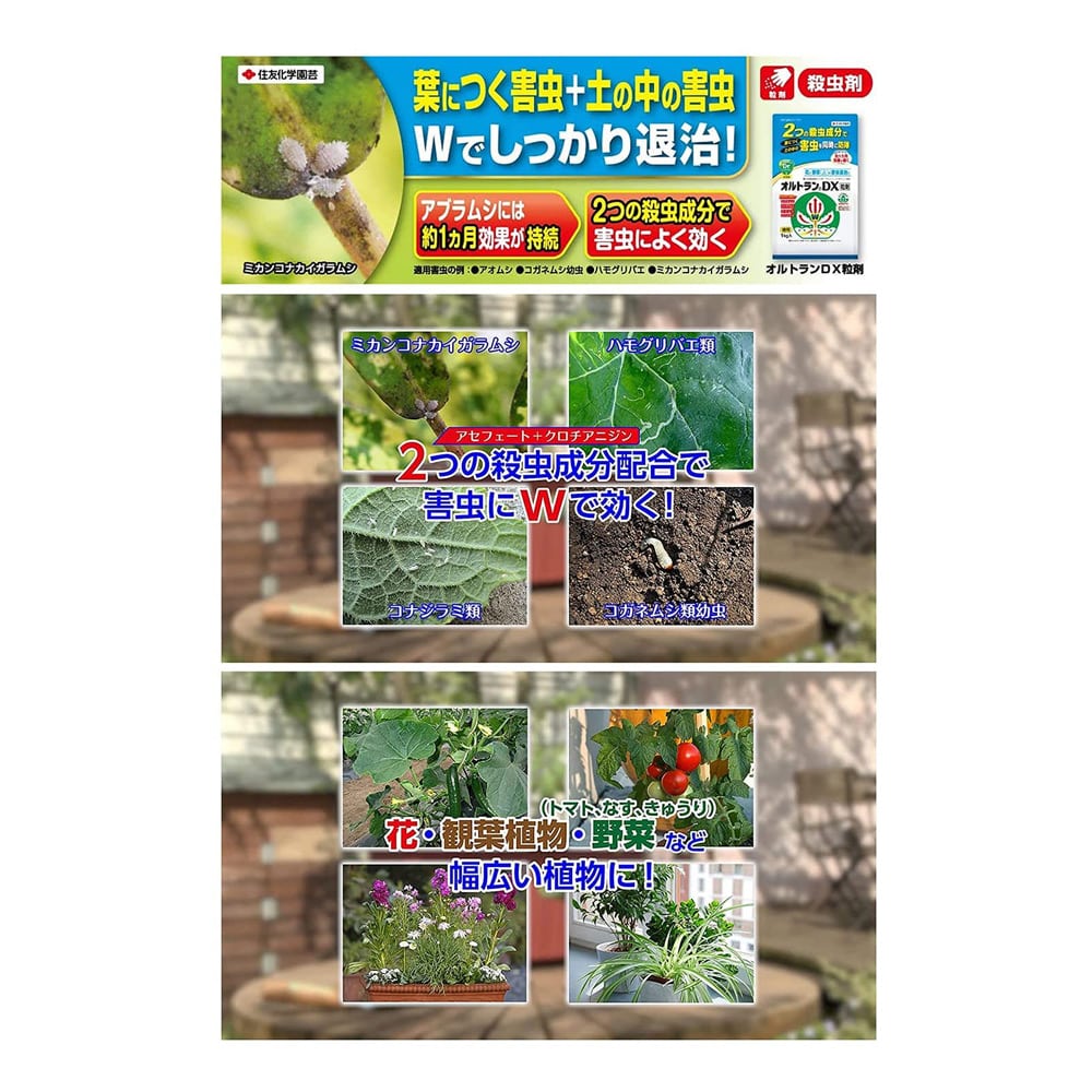 最大91％オフ！ オルトランDX粒剤 1kg×12個 殺虫剤 花と野菜の害虫防除に最適の殺虫剤 fucoa.cl