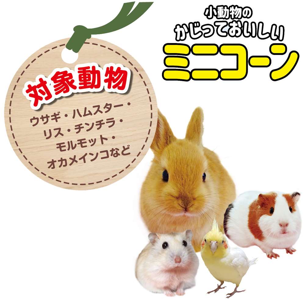 ドギーマンハヤシ　小動物ミニコーン　１２０ｇ