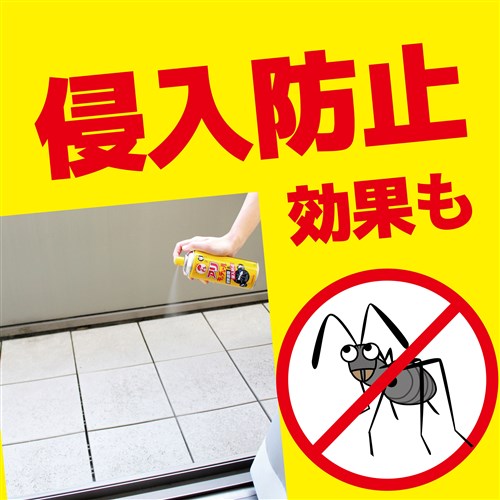 アリキンチョール300ml