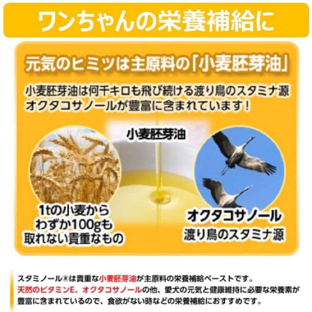 アース・バイオケミカル　スタミノール　３３ｇ