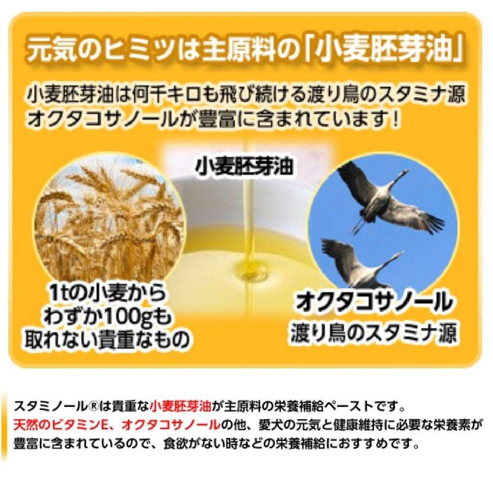 アース・バイオケミカル　スタミノール　Ｖ　１００ｇ スタミノール　Ｖ