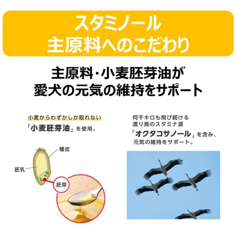アース・バイオケミカル　スタミノール　関節ケア　１００ｇ スタミノール　関節ケア