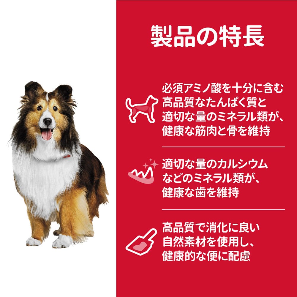 ヒルズ サイエンス・ダイエット ドッグフード アダルト 1歳～6歳 成犬用 チキン 3.3kg アダルト 3.3kg