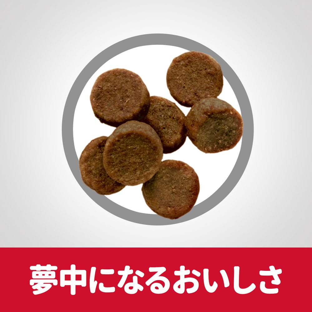 ヒルズ　サイエンス・ダイエット　ドッグフード　パピー　大型犬種用　子いぬ用　チキン　１２ｋｇ　×２個セット 2個セット