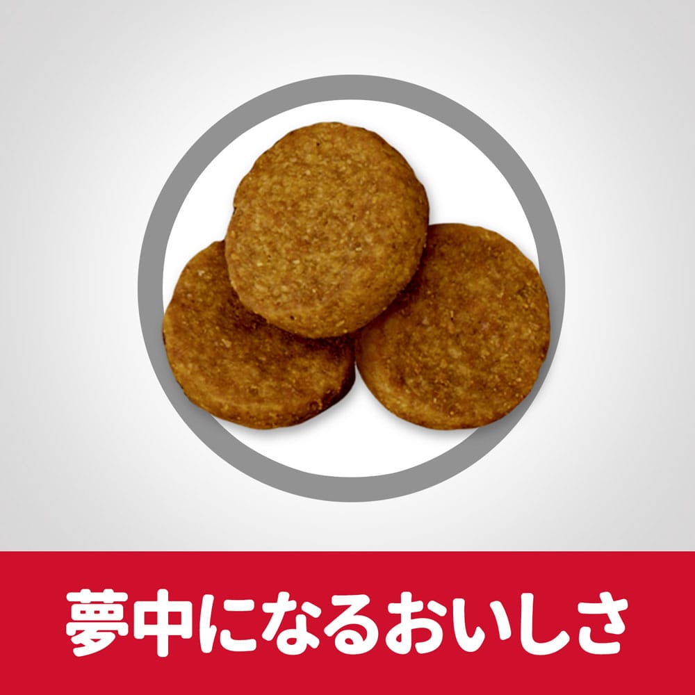 ヒルズ　サイエンス・ダイエット　ドッグフード　シニア　６歳以上　大型犬種用　高齢犬用　チキン　１２ｋｇ　×２個セット 2個セット