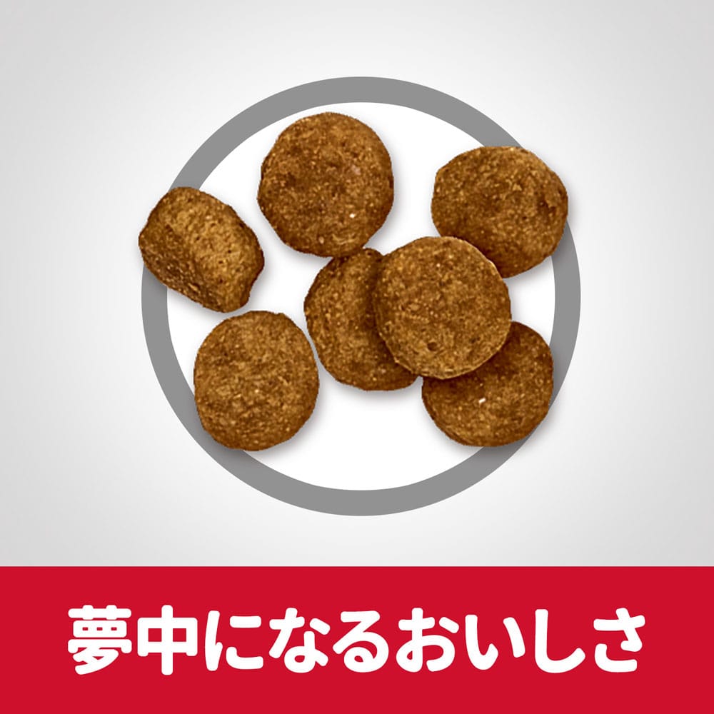 ヒルズ　サイエンス・ダイエット　ドッグフード　シニア　７歳以上　小粒　高齢犬用　チキン　１２ｋｇ　×２個セット 2個セット