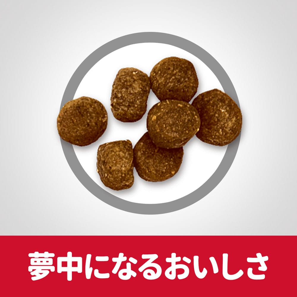 ヒルズ　サイエンス・ダイエット　ドッグフード　シニアプラス　１０歳以上　高齢犬用　チキン　１２ｋｇ　×２個セット 2個セット