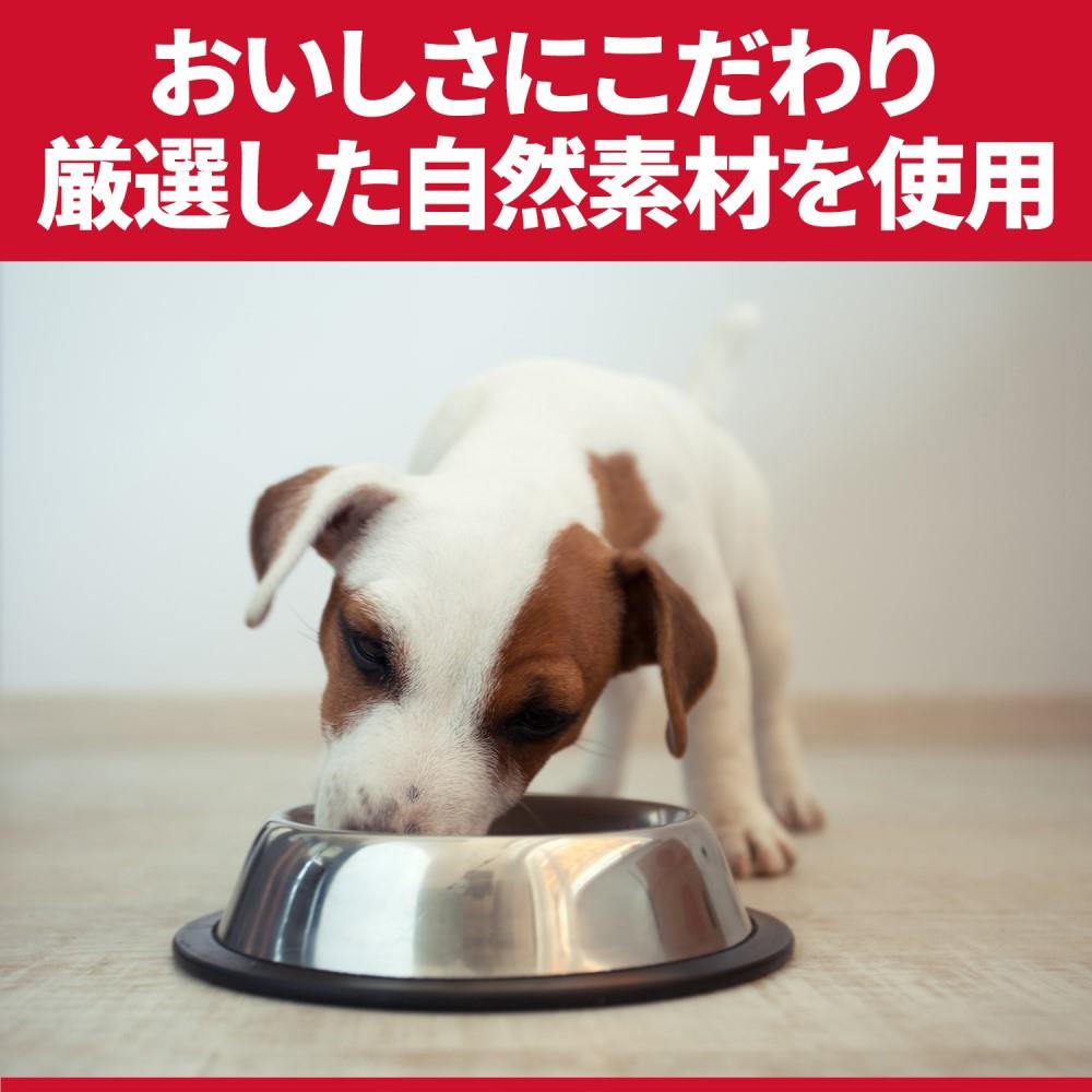 サイエンスダイエット　小型犬ラム＆ライス１．５ｋｇ １．５ｋｇ