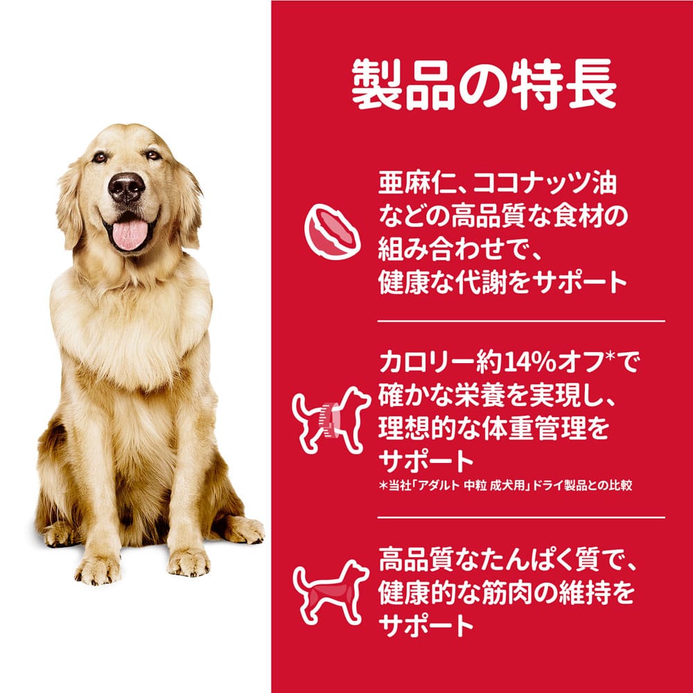 ＼2点5%・3点8%・5点10%OFF／ 首輪 大型犬 中型犬 小型犬向け ラバー素材で軽量な35cm 50cm 70cm3タイプ夜のお散歩も安心USB充電式LEDカラー 首輪 カラー ライトカラー 光る首輪 首輪 USB充電式 夜のお散歩