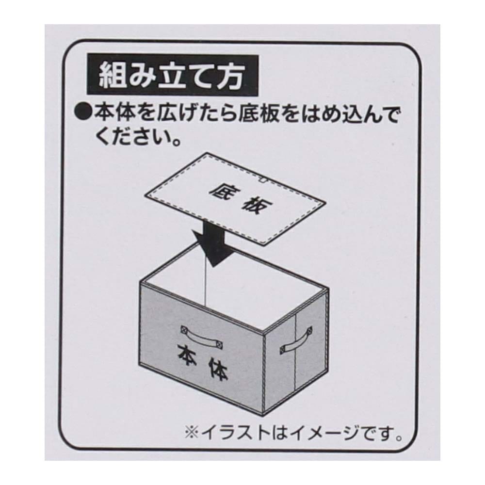 【アウトレット】LIFELEX インナーボックス１個入　レギュラー　ベージュ レギュラー　ベージュ