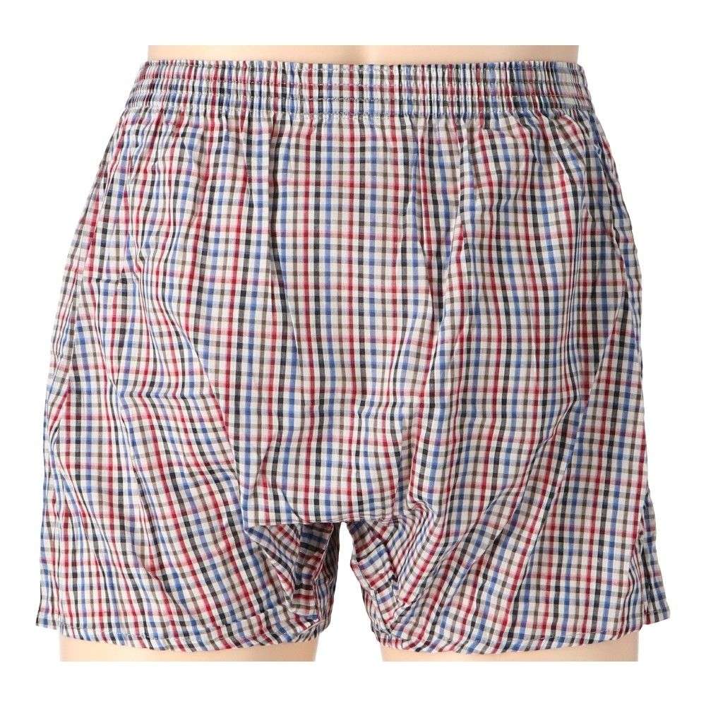 LIFELEX　トランクス　２Ｐ　ホワイト・ブルー系チェック　Ｌ ホワイト・ブルー系チェック　Ｌ