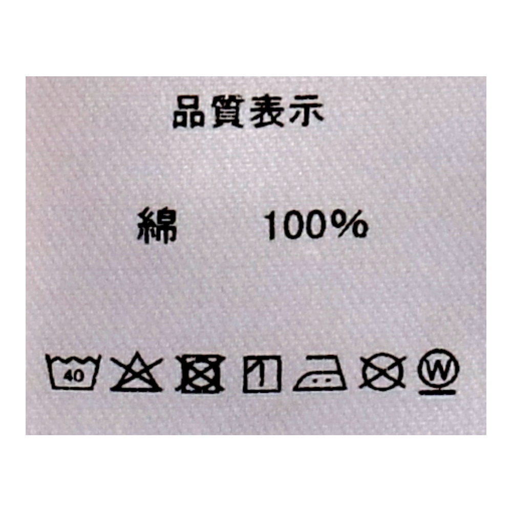 LIFELEX　綿天竺丸首インナー　２Ｐ　ホワイト　Ｌ ホワイト　Ｌ
