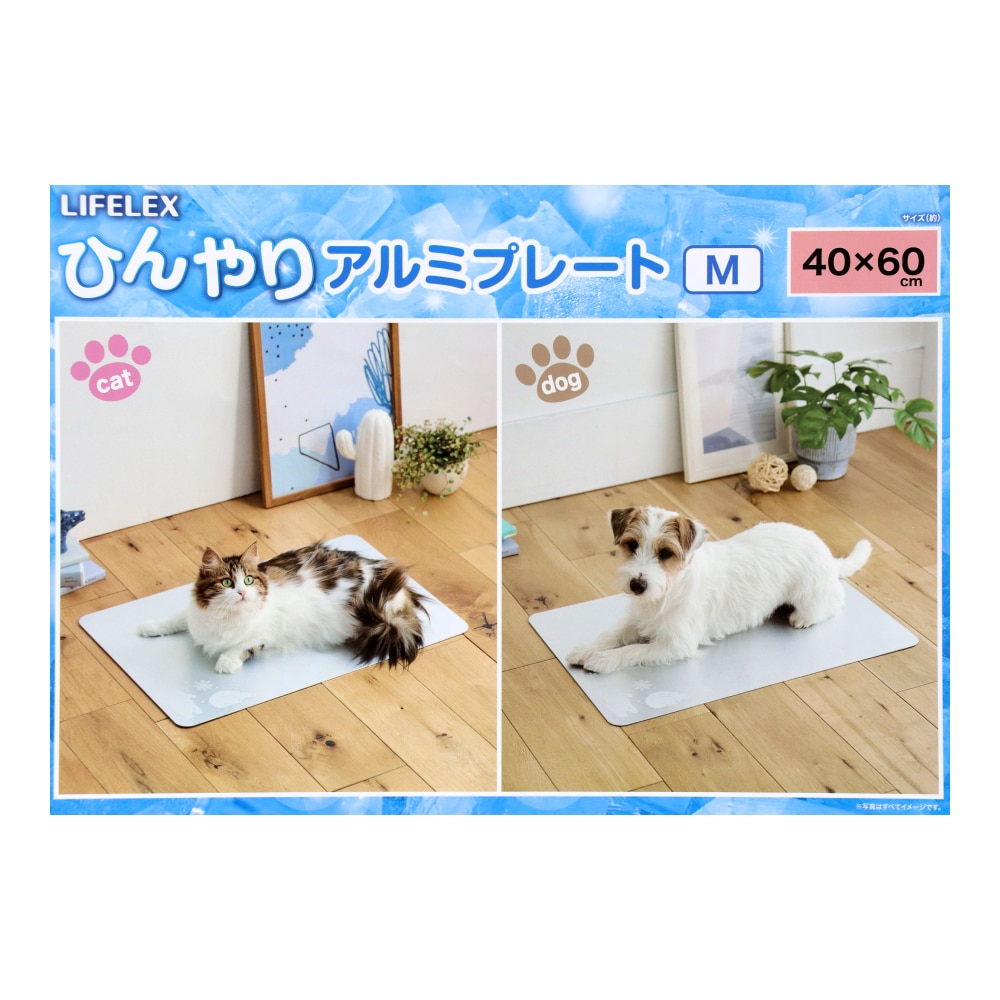 LIFELEX アルミひんやりプレートM 40×60 アイスベア― M