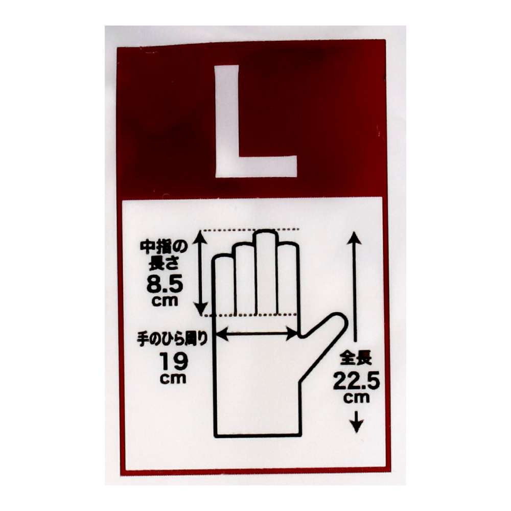 LIFELEX　スムス手袋マチなし　１２双入　Ｌサイズ　マチなしタイプ L