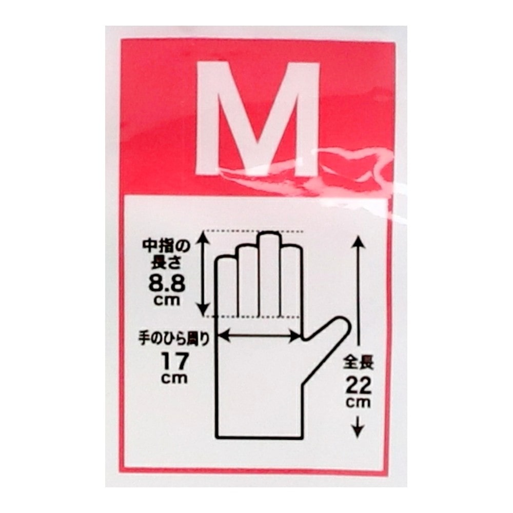 LIFELEX　スムス手袋マチ付　１２双入　Ｍサイズ　マチ付タイプ M