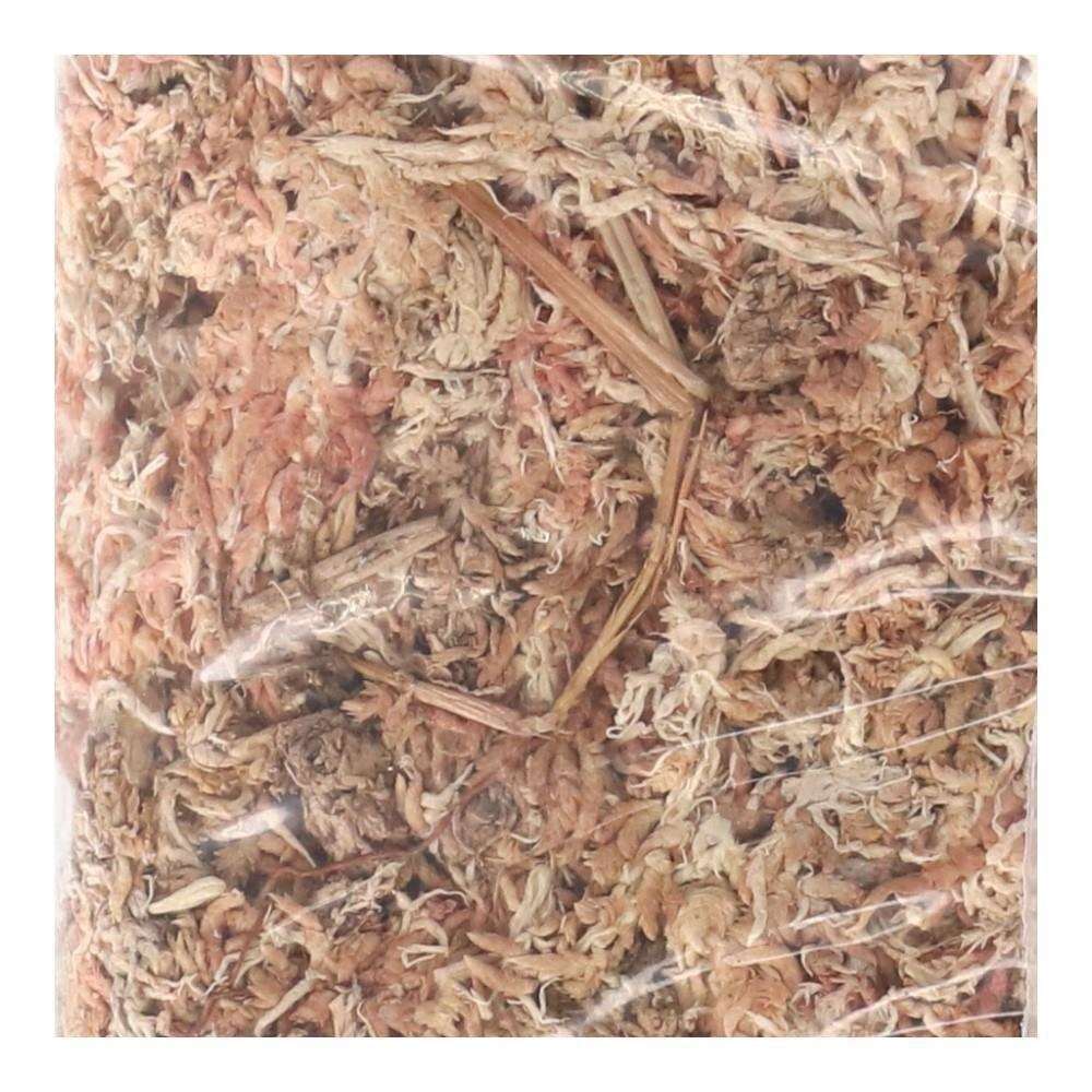 LIFELEX　チリ産　天然水ごけ　１５０ｇ　ＫＨＴ０９－１３８８ 150g
