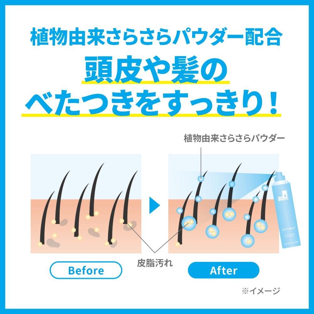 シーブリーズ　アイスドライシャンプー　シトラスシャーベット　９５ｇ