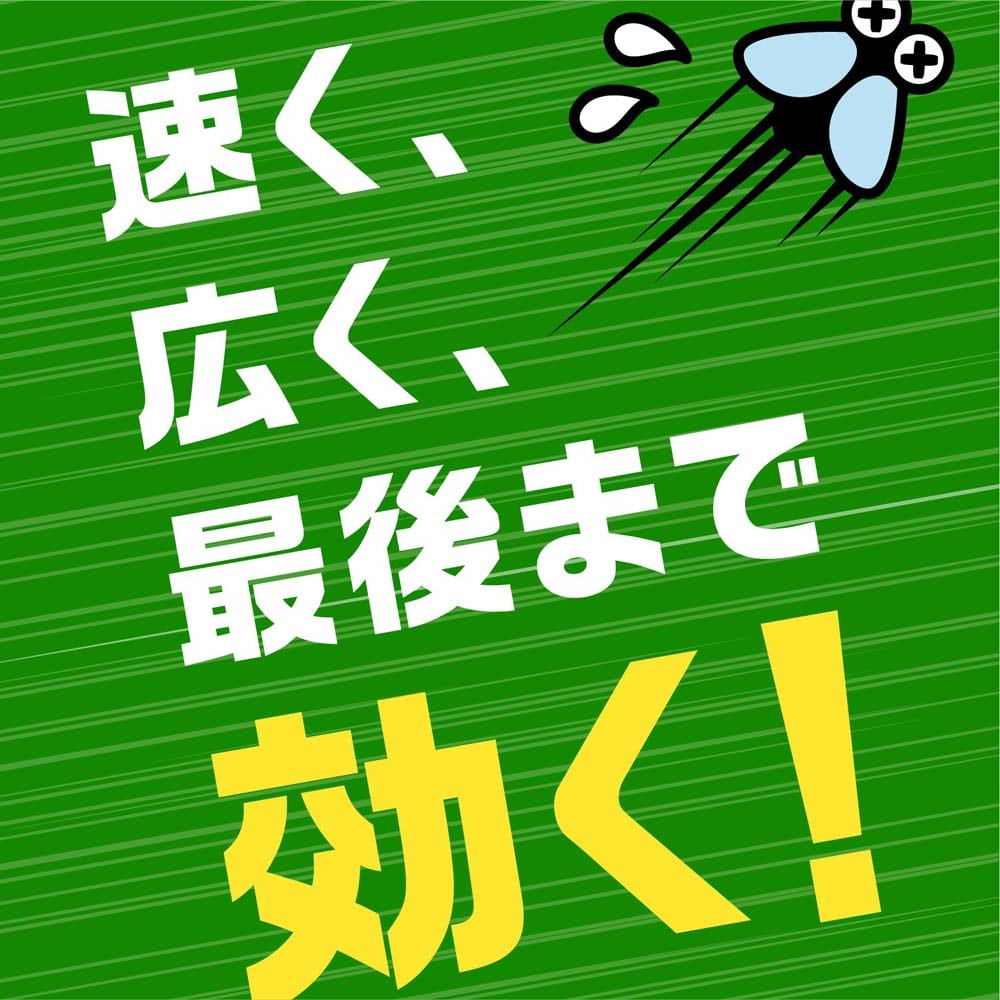 アース製薬 アース虫よけネットEX あみ戸用 260日用 4個入 あみ戸用260日用4個入