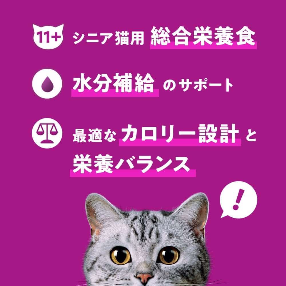 マースジャパンリミテッド　カルカンパウチ８Ｐ　１５歳から　まぐろ １５歳から　まぐろ