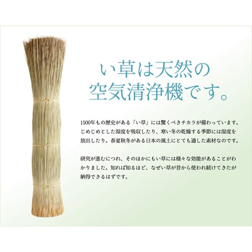 イケヒコ・コーポレーション(IKEHIKO) 純国産 双目織 い草上敷 『松