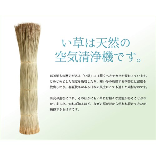 イケヒコ・コーポレーション(IKEHIKO) 　純国産　双目織　い草上敷　『松』　団地間４．５畳　約２５５×２５５ｃｍ 団地間４．５畳　約２５５×２５５ｃｍ