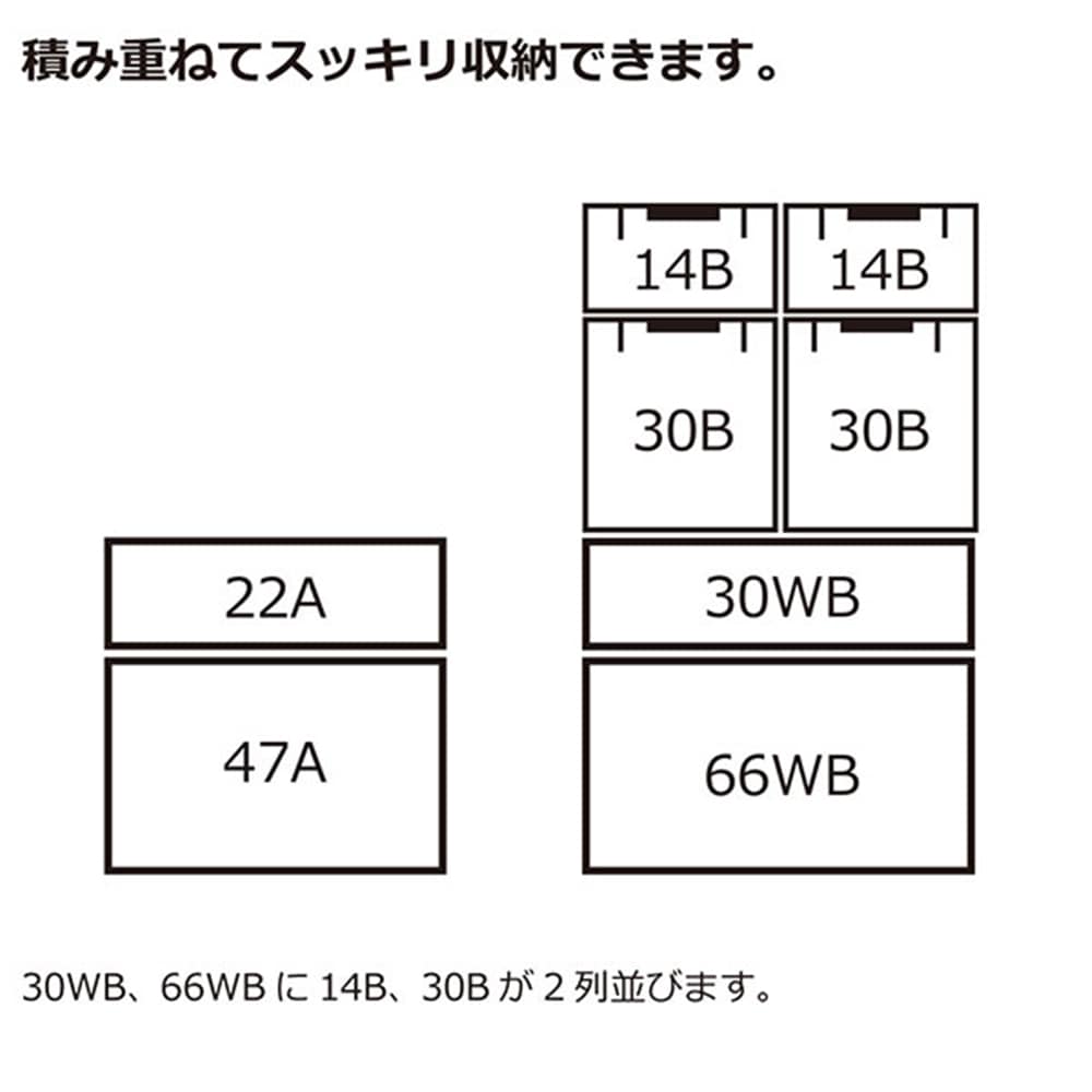 リッチェル 蓋付きコンテナボックス　ラッチコンテナ　30WB グリーン グリーン