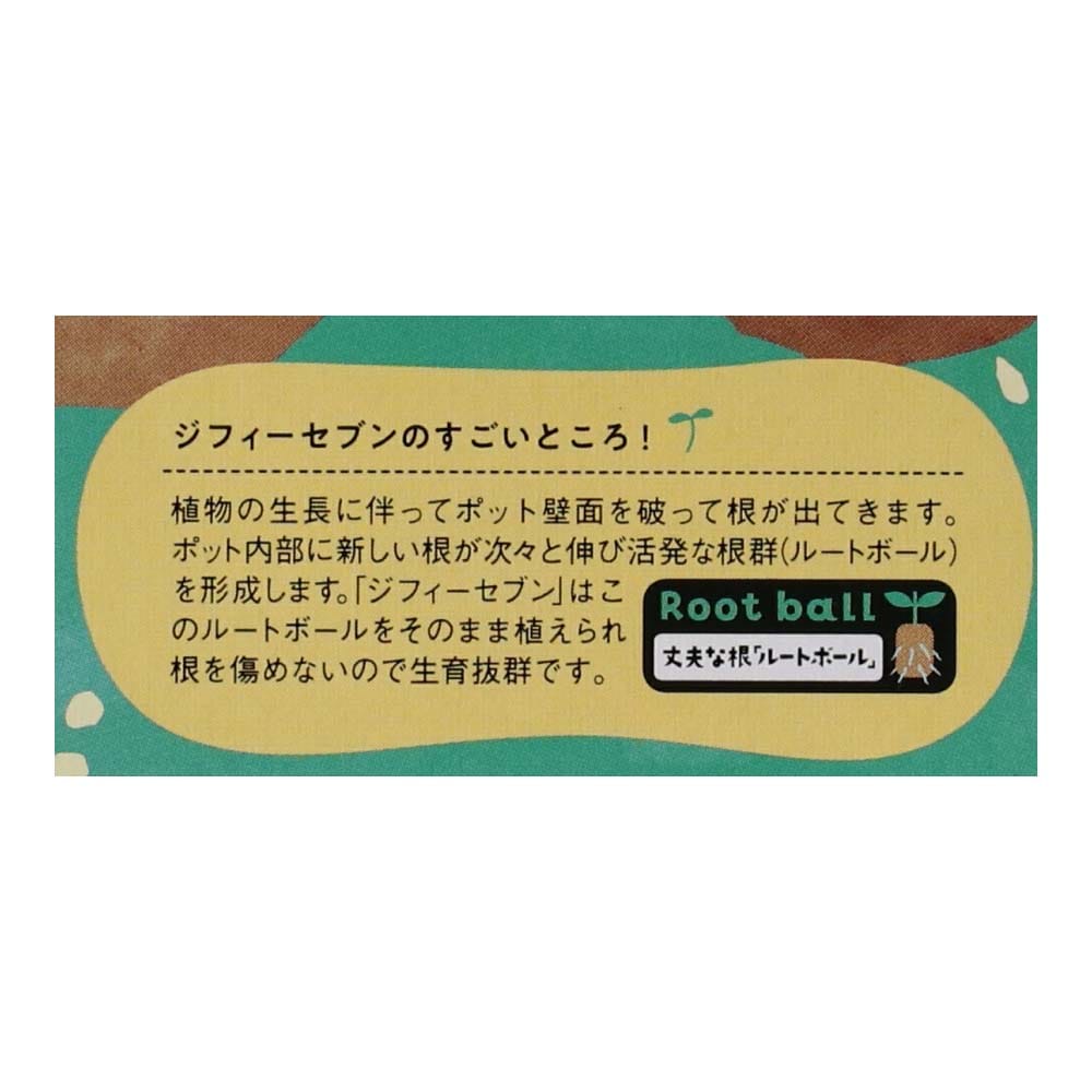 429円 肌触りがいい ジフィーセブン 大 42mm 48個入り