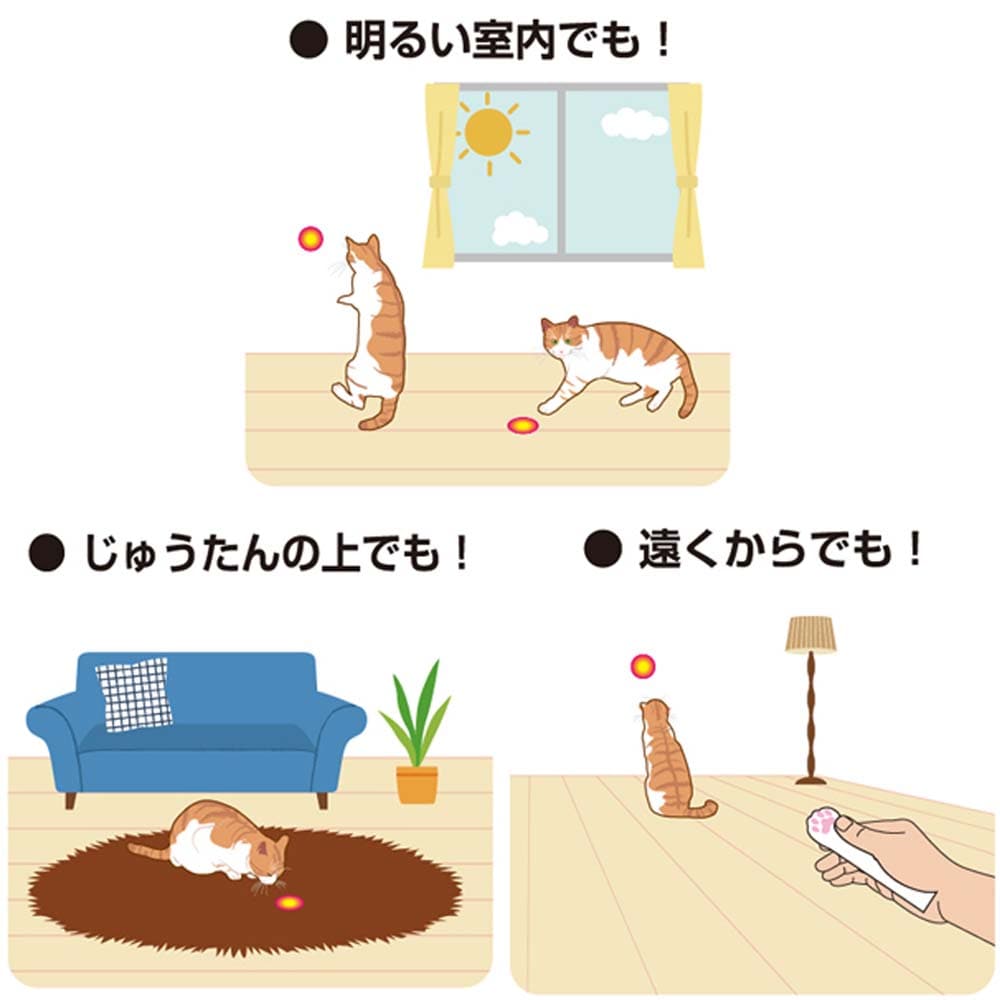 ドギーマンハヤシ　じゃれ猫レーザー ニャンだろ～！？光線