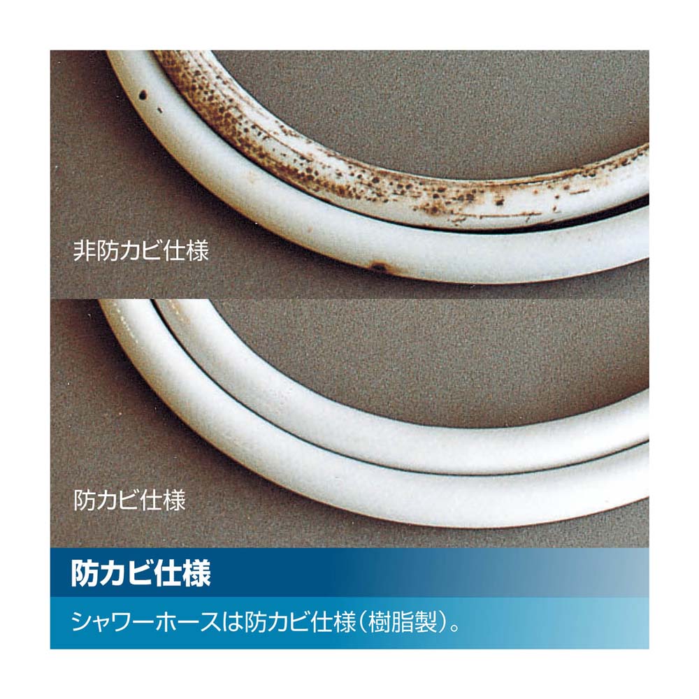 INAX サーモスタットシャワーバス水栓 エコアクアシャワー 樹脂ヘッド（一般地）RBF-912E