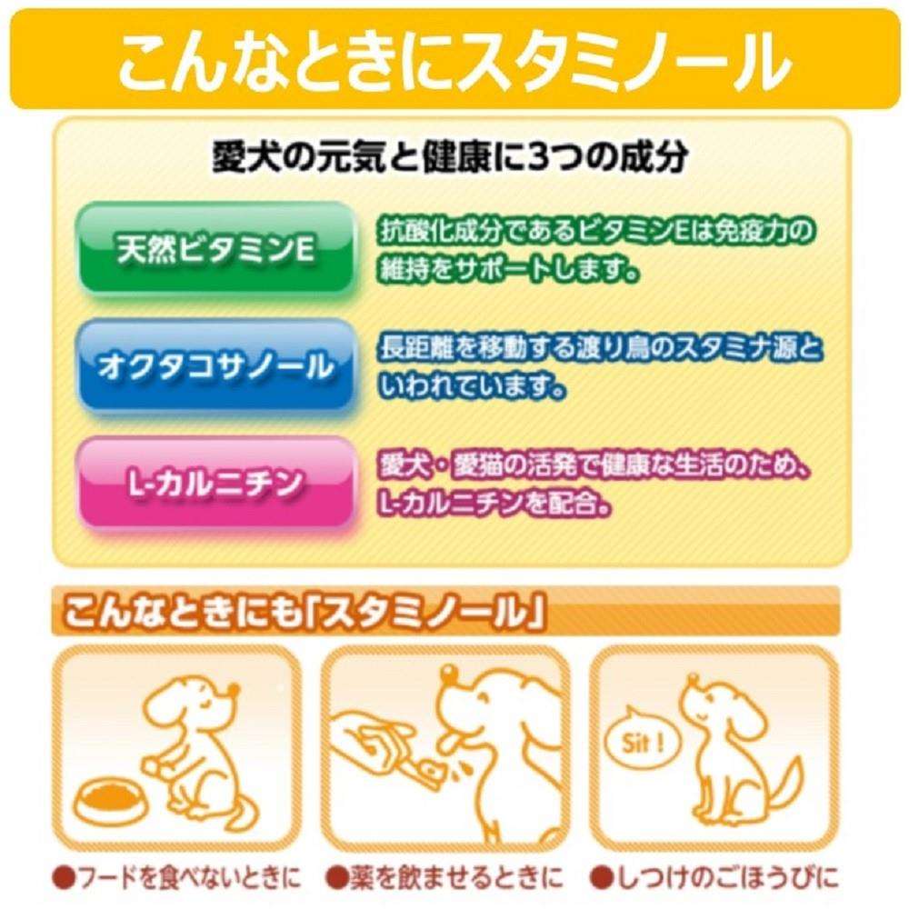 アース・バイオケミカル　スタミノール　３３ｇ