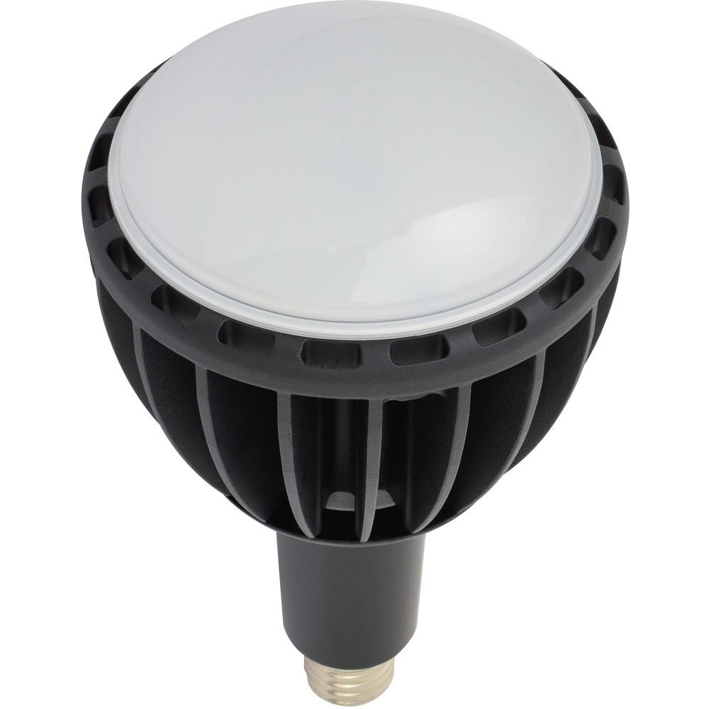 日動工業 LED交換球 エコビック100W E39 昼白色 ワイド L100WE39JWBK50K