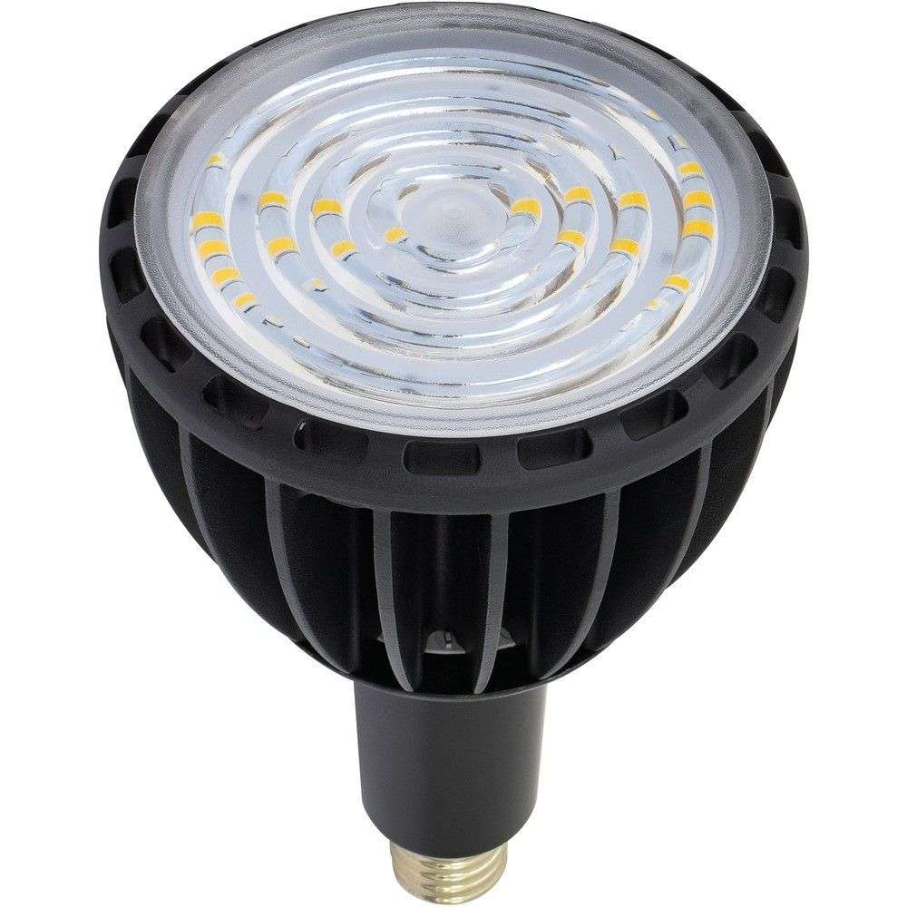 日動工業 LED交換球 エコビック100W E39 昼白色 スポット L100WE39JSBK50K