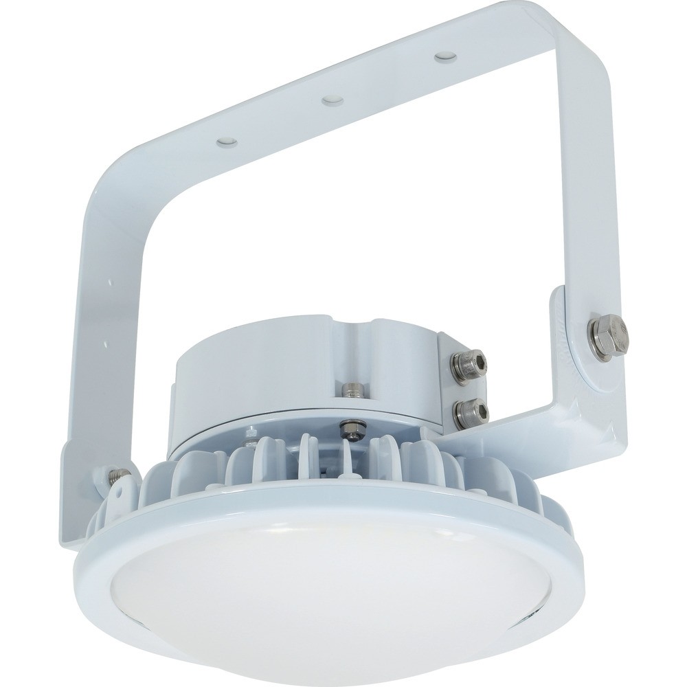 日動工業 ハイスペックハイディスク70W 電源装置内蔵型 昼白色 吊下げ型 乳白 L70B-P-HM11050K