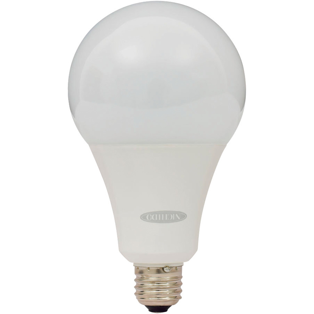 日動工業 LED電球22W フロスト LFC-22W-50K