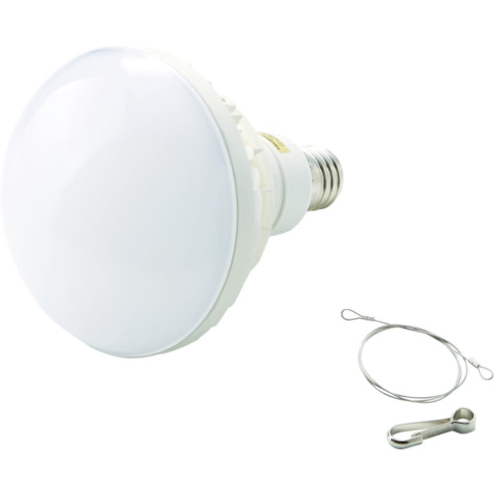 ■トラスコ中山(TRUSCO)　ＬＥＤ投光器用　５０Ｗ　ＬＥＤ球　ＲＴＬ５０Ｗ RTL50W