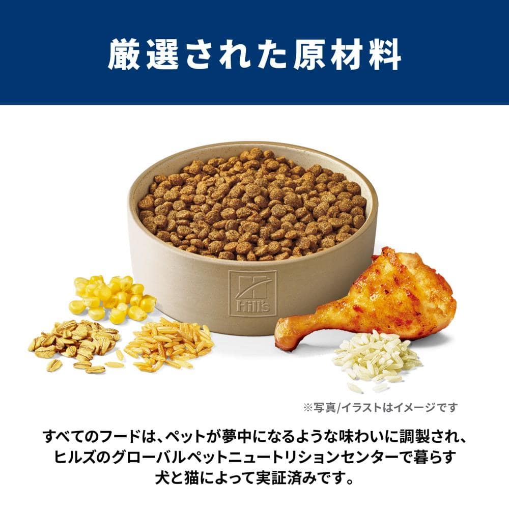 サイエンス・ダイエット ドッグフード 子いぬ用 パピー 12ヶ月まで 小粒 チキン 3.3kg 子いぬ用 パピー 12ヶ月まで 小粒 チキン 3.3kg