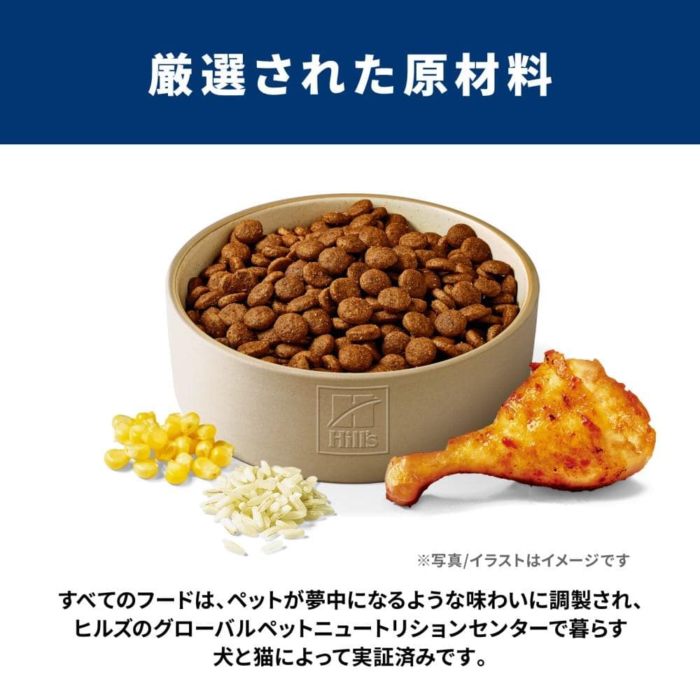 ヒルズ サイエンス・ダイエット ドッグフード パピー 大型犬種用 子いぬ用 チキン 12kg