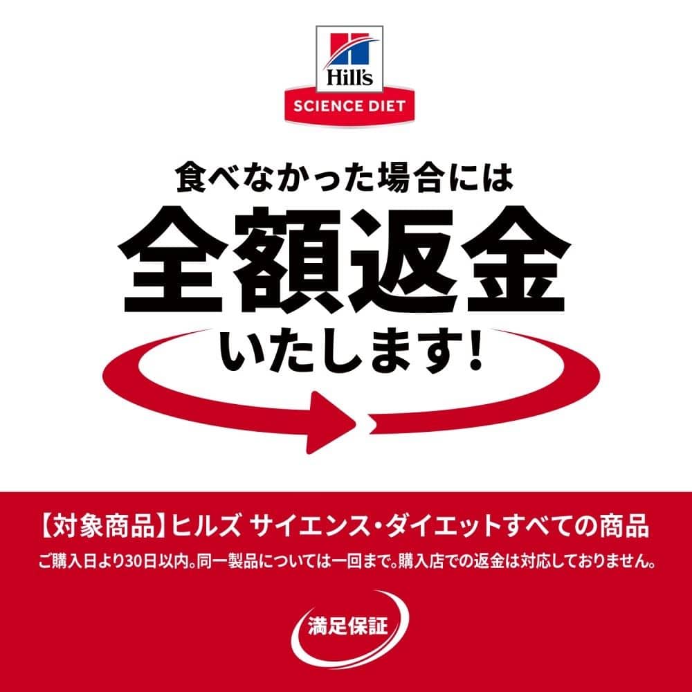 日本ヒルズ　・コルゲート　サイエンスダイエット　アダルト成猫用２．８ｋｇ　×４個セット