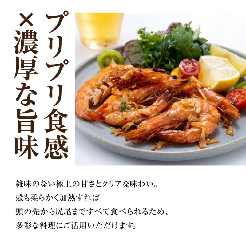 青空えび (和名：シロアシエビ) 200g×2パック 冷凍  海老 殻付き 有頭えび 生えび 2パック