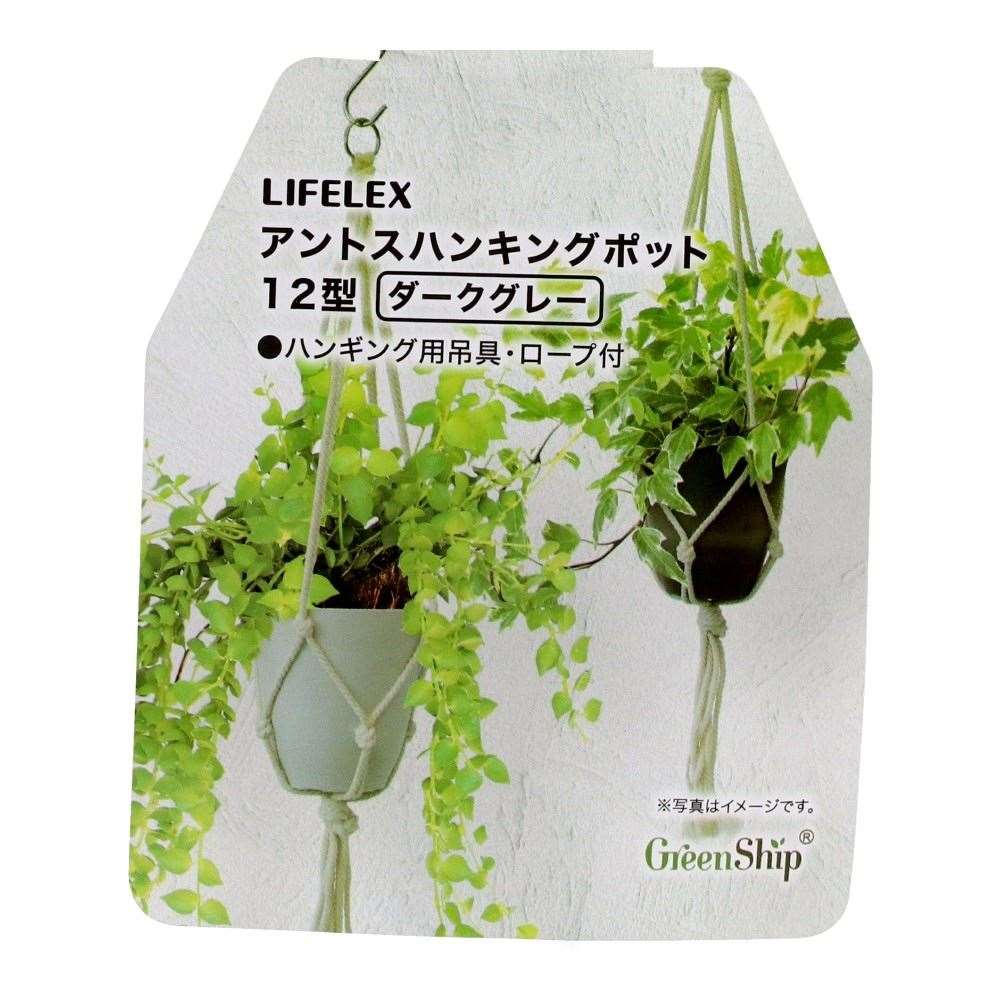 LIFELEX　アントスハンキングポット１２型ダークグレー　ＨＫ０９－４２９３ 12型・ダークグレー