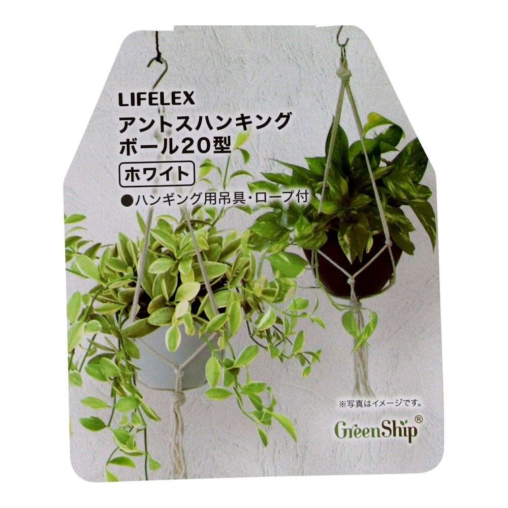 LIFELEX　アントスハンキングボール２０型ホワイト　ＨＫ０９－４３７８ 20型・ホワイト