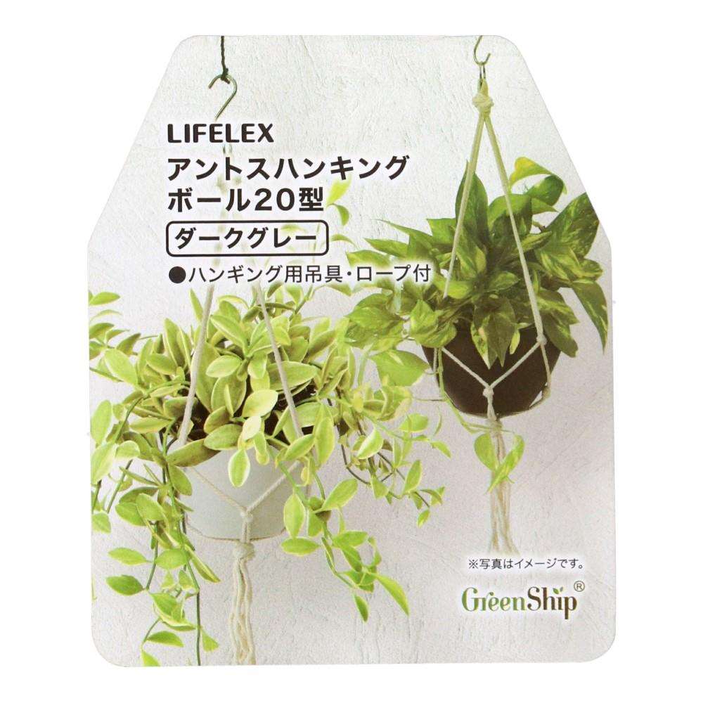 LIFELEX　アントスハンキングボール２０型ダークグレー　ＨＫ０９－４４０８ 20型・ダークグレー