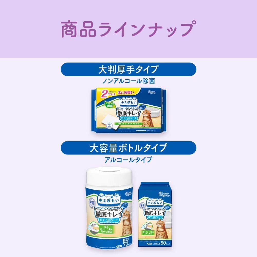 大王製紙 キミおもい　徹底キレイおそうじシート　ボトルつめかえ　６０枚 ボトルつめかえ　６０枚