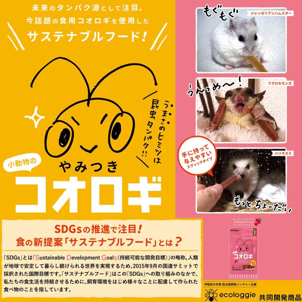 ドギーマンハヤシ　小動物のやみつきコオロギ　クランベリー入り２５ｇ クランベリー入り