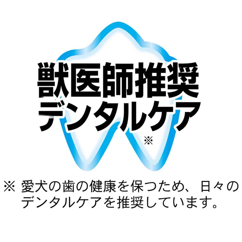 ドギーマンハヤシ　やわらかデンタトーイブラシ １個