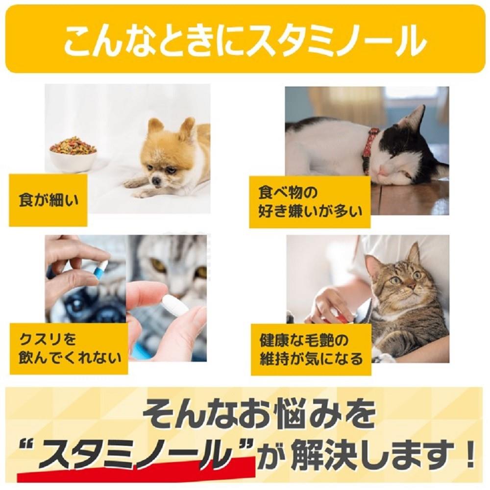アース・バイオケミカル　スタミノール　３３ｇ