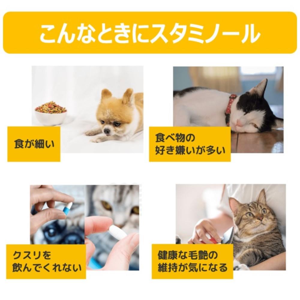 アース・バイオケミカル　スタミノール　関節ケア　１００ｇ スタミノール　関節ケア