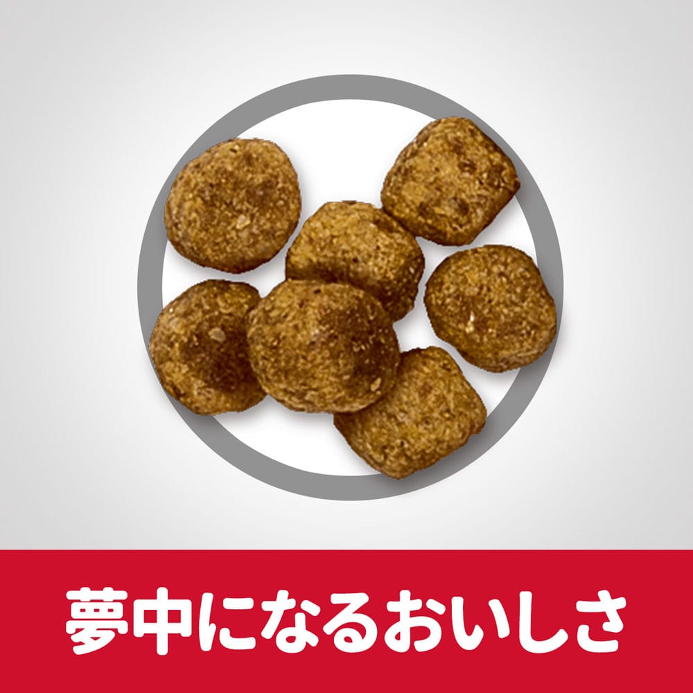 サイエンス・ダイエット ドッグフード 肥満傾向の成犬用 アダルトライト 1歳～6歳 小粒 チキン 3.3kg 肥満傾向の成犬用 アダルトライト 1歳～6歳 小粒 チキン 3.3kg