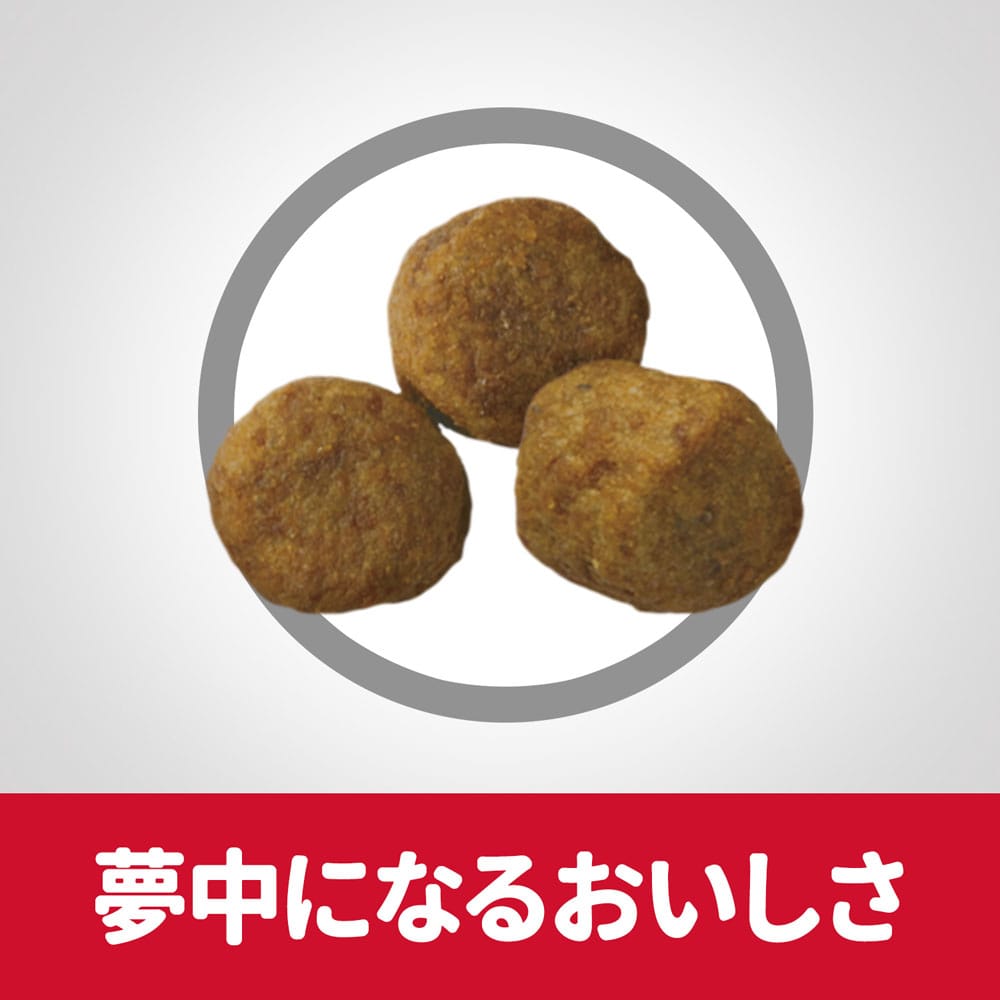サイエンス・ダイエット ドッグフード 高齢犬用 シニア 7歳以上 チキン 3.3kg 高齢犬用 シニア 7歳以上 チキン 3.3kg